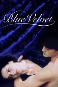 Blue Velvet Full Movie 1986 (720p & 1080p)