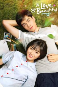 A Love So Beautiful Complete Season (1) (720p & 1080p)