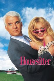 Housesitter Full Movie 1992 (720p & 1080p)