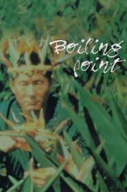 Boiling Point Full Movie 1990 (720p & 1080p)