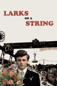 Larks on a String Full Movie 1990 (720p & 1080p)