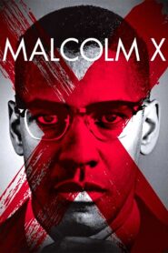 Malcolm X Full Movie 1992 (720p & 1080p)