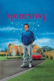 Mr. Destiny Full Movie 1990 (720p & 1080p)